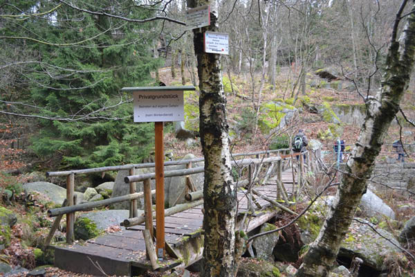 Wanderung Peiner Eulen im Harz_19.11.11 057