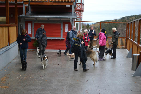 Wanderung Peiner Eulen im Harz_19.11.11 065