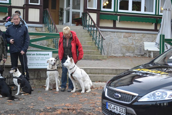 Wanderung Peiner Eulen im Harz_19.11.11 096