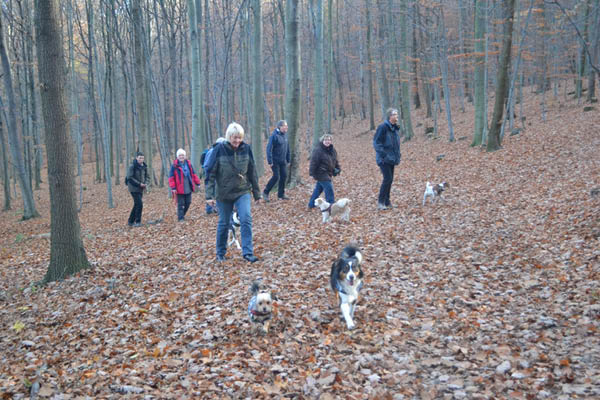 Wanderung Peiner Eulen im Harz_19.11.11 100