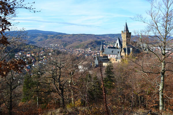 Wanderung Peiner Eulen im Harz_19.11.11 105