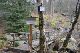 Wanderung Peiner Eulen im Harz_19.11.11 057
