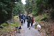 Wanderung Peiner Eulen im Harz_19.11.11 068