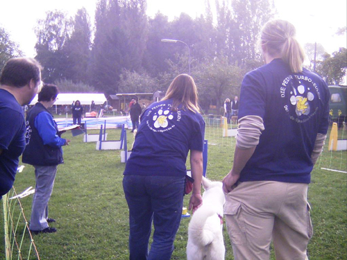 Flyball 007