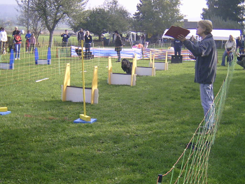 Flyball 024
