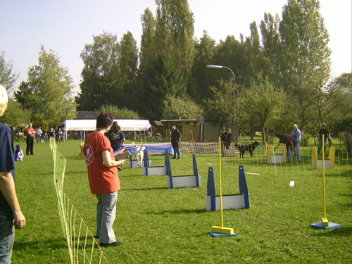 Flyball 043
