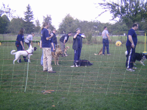Flyball 045