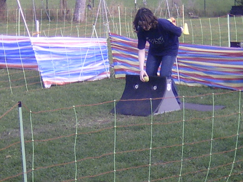 Flyball 047