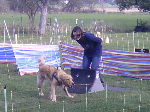Flyball 051