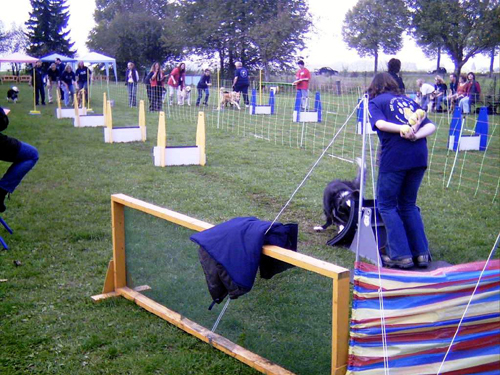 Flyball 054