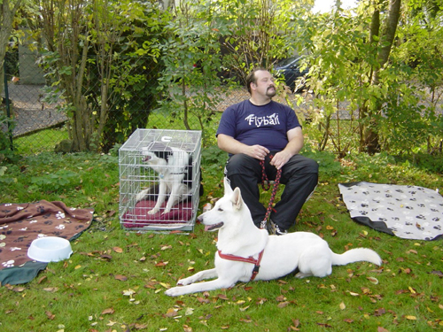 Flyball 063