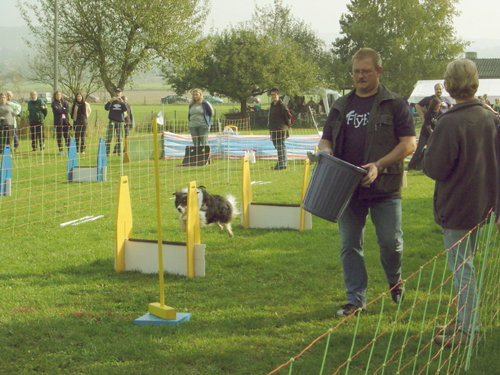 Flyball 068