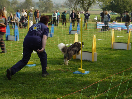 Flyball 070