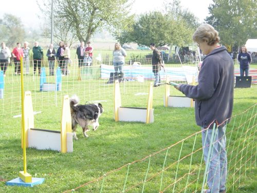 Flyball 082