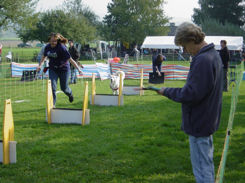 Flyball 085