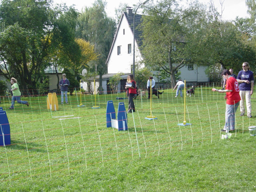 Flyball 086