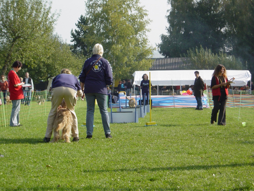 Flyball 088