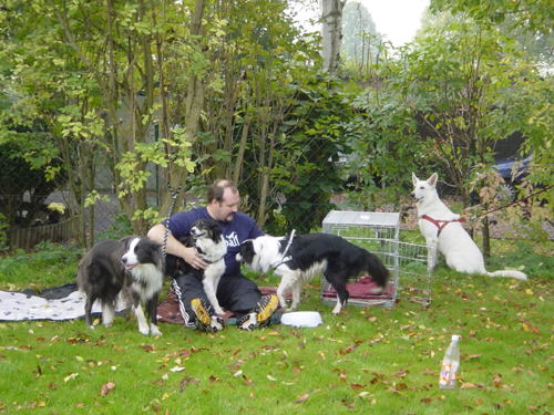 Flyball 097