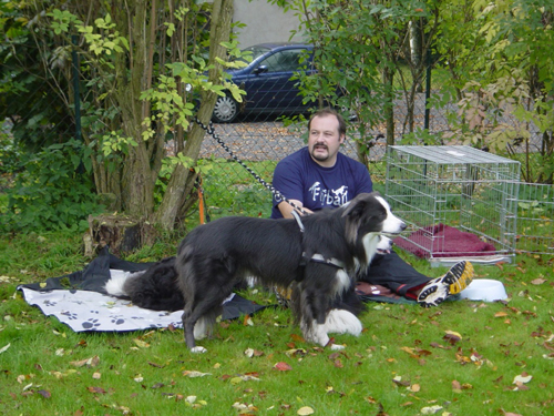Flyball 100