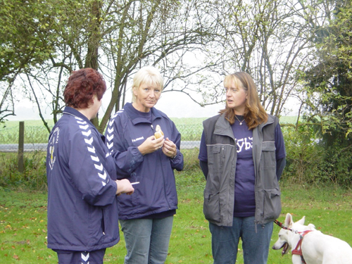Flyball 102