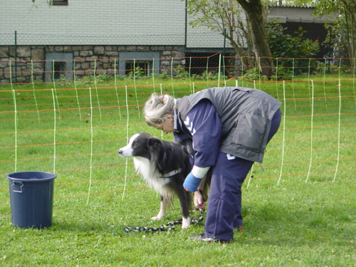 Flyball 109