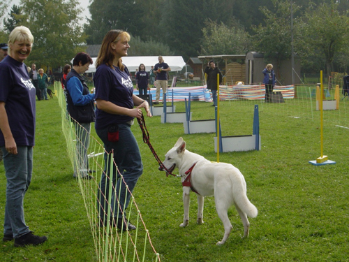 Flyball 111