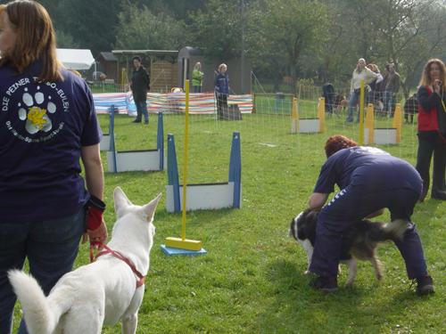 Flyball 112