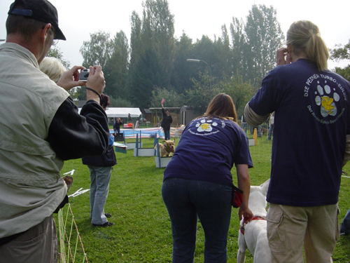 Flyball 119