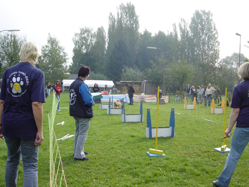 Flyball 121