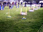 Flyball 017
