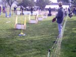 Flyball 021