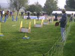 Flyball 023