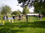 Flyball 027