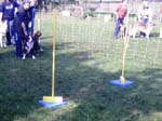 Flyball 038