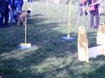 Flyball 039