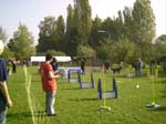 Flyball 043