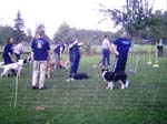 Flyball 044