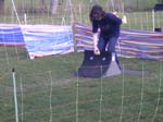 Flyball 047