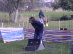 Flyball 049