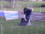 Flyball 050