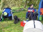 Flyball 064