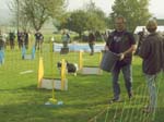 Flyball 068