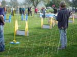 Flyball 079
