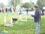 Flyball 082
