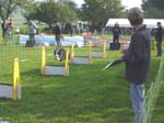 Flyball 083