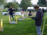 Flyball 085
