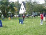 Flyball 086
