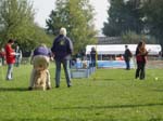 Flyball 088