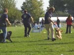 Flyball 090