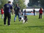 Flyball 091